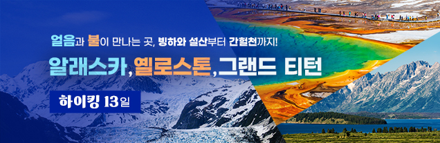 알래스카 옐로스톤 옐로우티턴