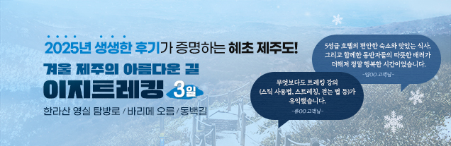 겨울 제주의 아름다운 길